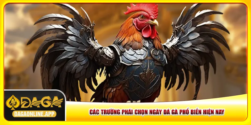 Các trường phái chọn ngày đá gà phổ biến hiện nay Các trường phái chọn ngày đá gà phổ biến hiện nay