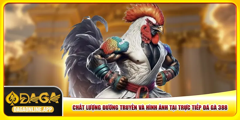 Chất lượng đường truyền và hình ảnh tại trực tiếp đá gà 388 Chất lượng đường truyền và hình ảnh tại trực tiếp đá gà 388