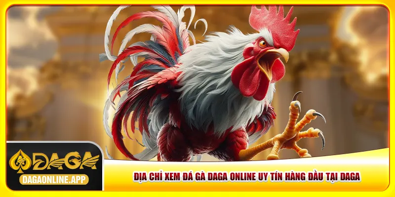 Địa chỉ xem đá gà Daga online uy tín hàng đầu tại Daga Địa chỉ xem đá gà Daga online uy tín hàng đầu tại Daga