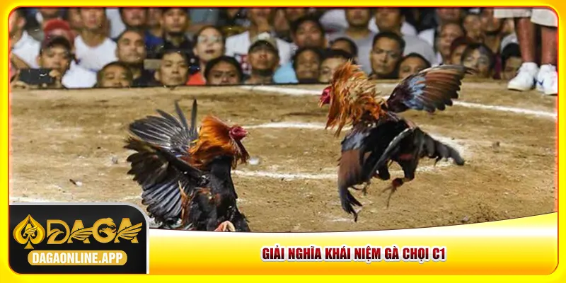 Giải nghĩa khái niệm gà chọi C1 Giải nghĩa khái niệm gà chọi C1