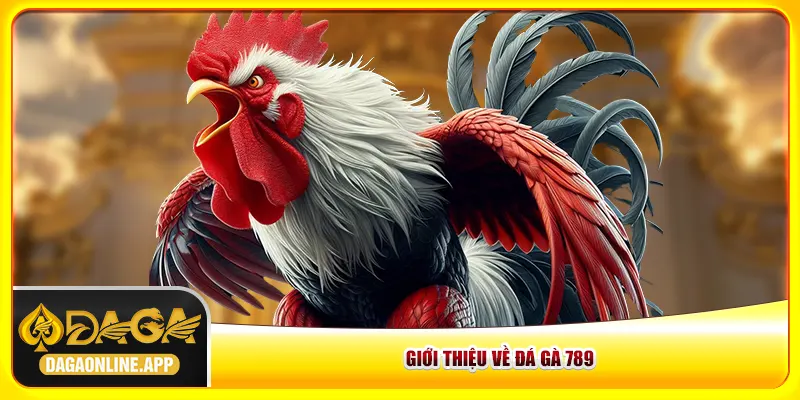 Giới thiệu về đá gà 789 Giới thiệu về đá gà 789