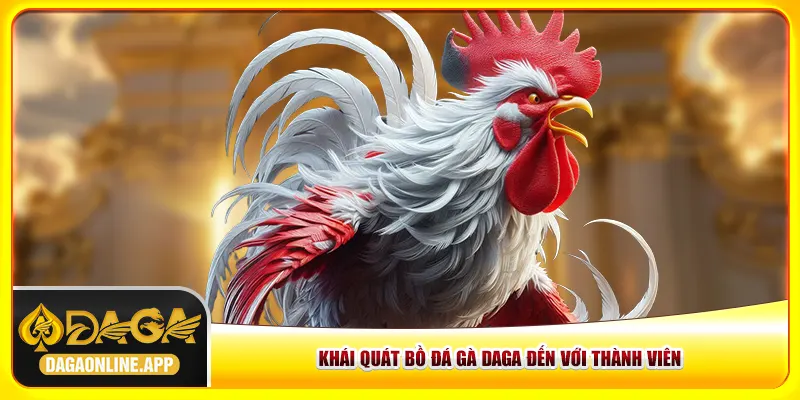 Khái đấu trường đá gà Daga đến với thành viên Khái đấu trường đá gà Daga đến với thành viên