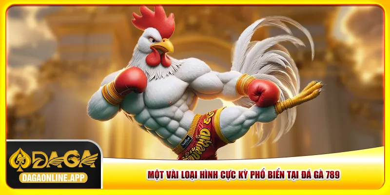 Một vài loại hình cực kỳ phổ biển tại đá gà 789 Một vài loại hình cực kỳ phổ biển tại đá gà 789