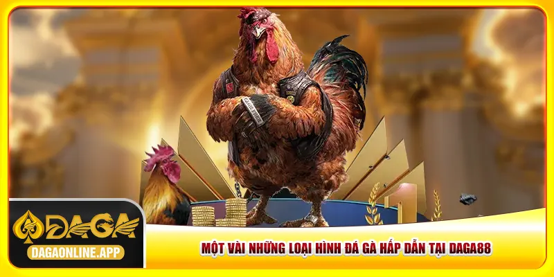 Những loại hình đá gà hấp dẫn tại Daga88 Những loại hình đá gà hấp dẫn tại Daga88