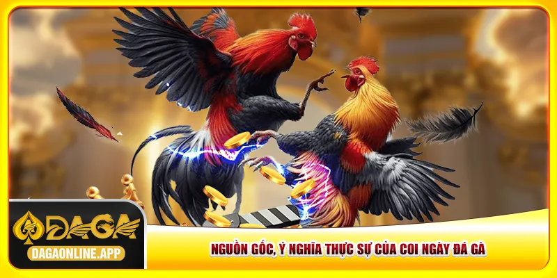 Nguồn gốc, ý nghĩa thực sự của coi ngày đá gà Nguồn gốc, ý nghĩa thực sự của coi ngày đá gà