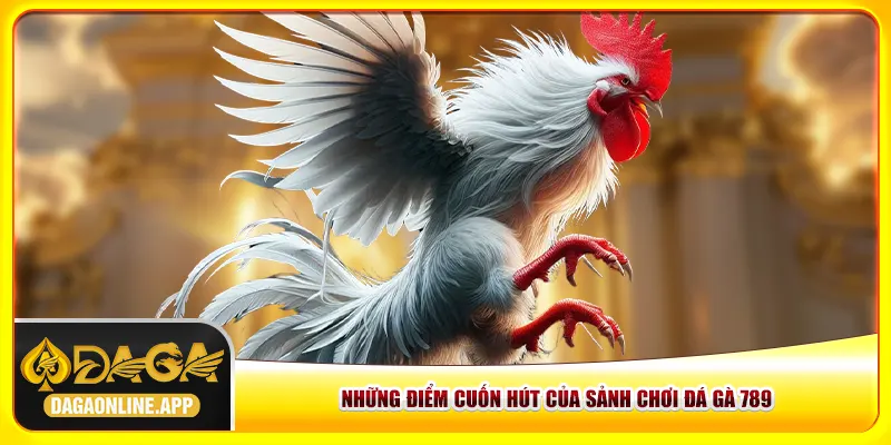 Những điểm cuốn hút của sảnh chơi đá gà 789 Những điểm cuốn hút của sảnh chơi đá gà 789